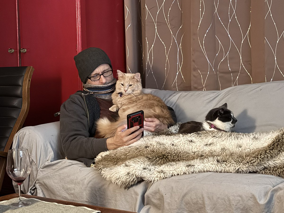 hmullphoto's tweet photo. @Tanishaevonne 😹😹😹😹😹 Same! (Ours the other night.) https://t.co/PEuGVzhz84