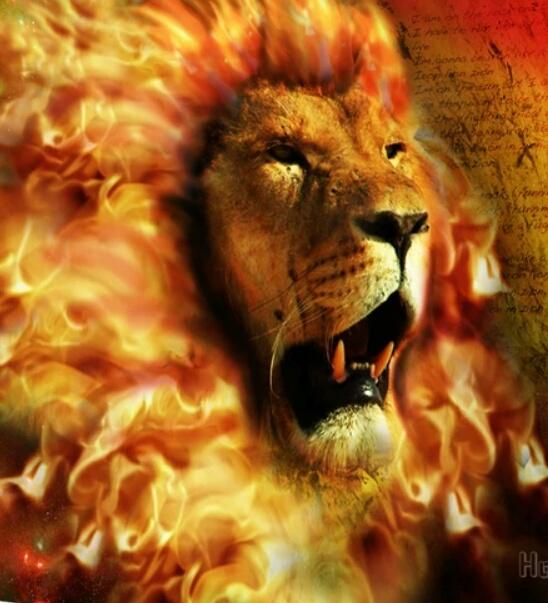 #دعم_لهيب_لمشاعر
#ملك_الدعم_والاضافات
<a href="/nor3rh/">💎Nor elrhman💎</a> <a href="/8rrgr/">جنونــ المــشـا؏ر❤️‍🔥</a>
<a href="/skmsrs/">AL KHADHER</a>
<a href="/M__asa1/">💙 آلَمآسه 💙𝓜𝓪𝓼 </a>
<a href="/muridhidun/">Kinoti Dan 🇰🇪</a>
<a href="/lhlly116147/">هلالي عالمي 💙🇸🇦💙</a>
@smara1973
<a href="/Saleh_talleb/">S. T. س ل ا /م ا ت.</a>
@1M0000000
<a href="/bshar86325/">«♡꧁ب̀́ش̀́آ̀́ر̀́ آ̀́ل̀́ه̀́ي̀́ث̀́م̀́ ꧂» ♡</a>
<a href="/abd_rhman9/">عبد الرحمن الزهراني🇸🇦</a>
<a href="/NAZIR_1111/">Ṁ२ि 💗ƝȺƵḮ२ि 💗11</a>
<a href="/kol_ok71648/">اسلام جبارة</a>
<a href="/fhdbnbdybdy1/">الفهد</a>
<a href="/ysrsnd190494/">ياسر سند</a>
<a href="/sadeqhbadalh/">صادق عبدالله</a>
<a href="/3Mazen55555/">Mazen333</a>
@Soraya123455
<a href="/AljhnyAbwhany/">ابوهاني الجهني</a>
@AliMoh924135079