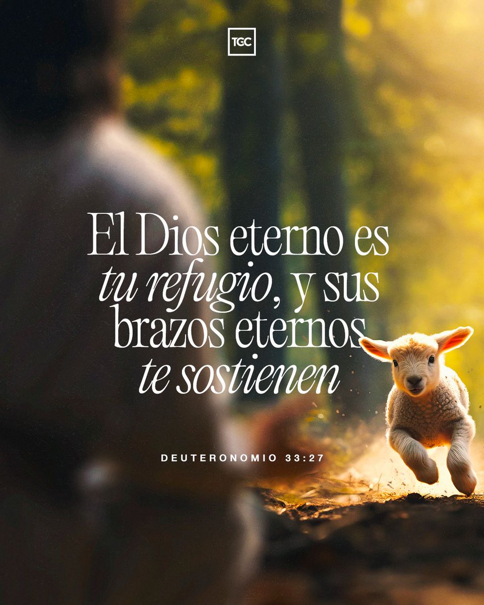 Kerygma_'s tweet image. 