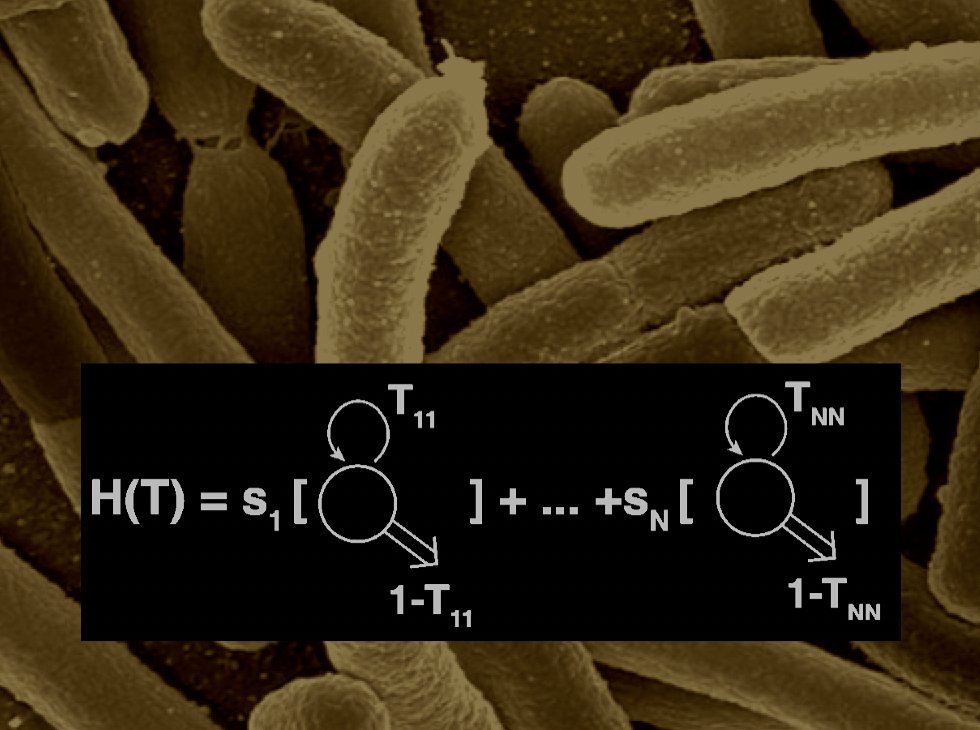 What drives microbiome complexity? Can Shannon's entropic measures explain them? Check our new paper in PNAS led by <a href="/sfiscience/">Santa Fe Institute</a> <a href="/MIT/">Massachusetts Institute of Technology (MIT)</a> Serguei Saavedra with our theoretical model of microbiome community transitions, from guts to marine ecosystems. pnas.org/doi/10.1073/pn…