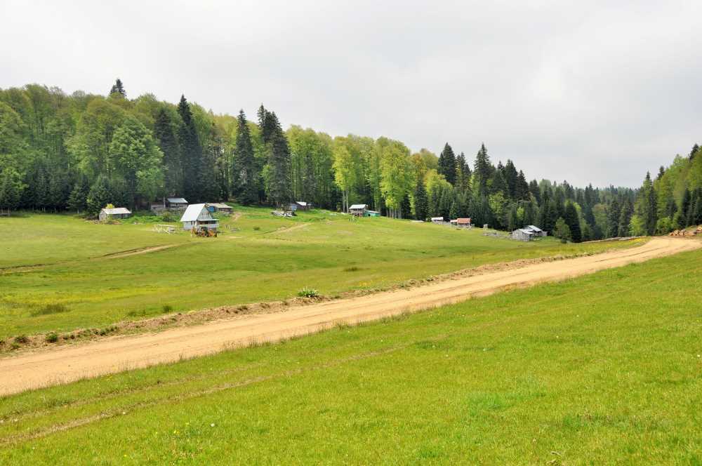 Hera Yaylası keşfetmeden ölme 💙
#düzce #bolu #mudurnu #NatureLover #camp #NatureCrisis #naturelovers #CampBuddy #hike #camping_engineer #hikingadventures #WalkAway