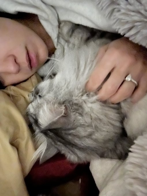 When you&rsquo;re  sick and mouth breathing and he still looks at you like you&rsquo;re the most beautiful thing<a href="/tag/rt"class="tags"><span>#rt</span></a><a href="/tag/facesitting"class="tags"><span>#facesitting</span></a>