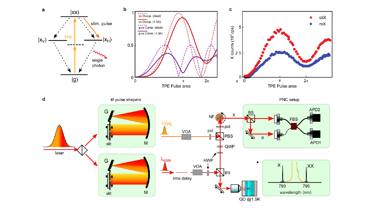 IEEE Quantum (@ieeequantum) on Twitter photo New #research alert! A critical element in #QKD protocols security is the photon number coherence. <a href="/Nature_NPJ/">npj Journals</a> Quantum Information has a paper on how researchers achieved the generation of high-quality single photons with a controllable degree of PNC: go.nature.com/3SiDl25 New #research alert! A critical element in #QKD protocols security is the photon number coherence. <a href="/Nature_NPJ/">npj Journals</a> Quantum Information has a paper on how researchers achieved the generation of high-quality single photons with a controllable degree of PNC: go.nature.com/3SiDl25