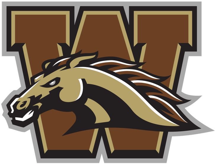 Blessed to receive an 🅾️FFER from Western Michigan University @coach_celiscar @MarshallMcDuf14 @MrAlready11