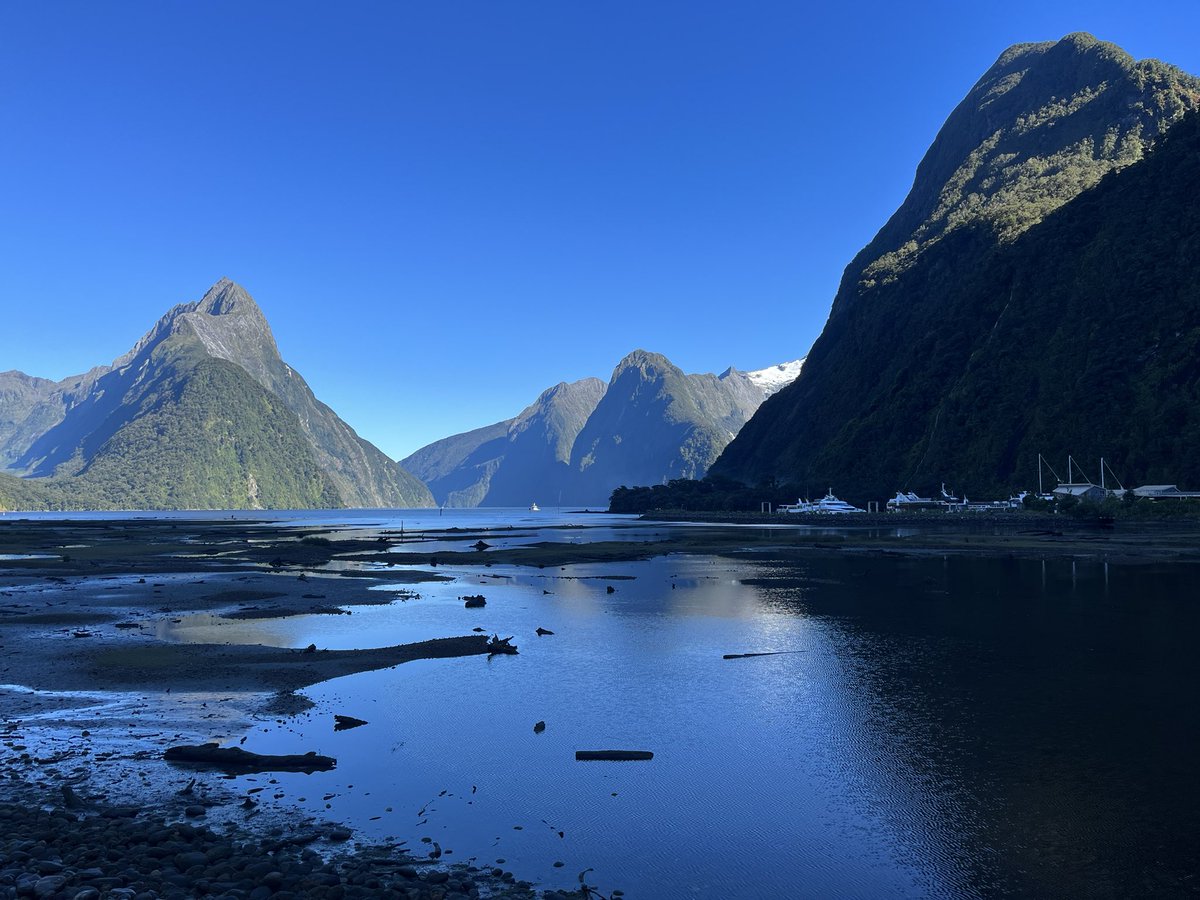 Joe Smith tweet media