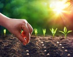 The UTHS FCA will hold a meeting tomorrow, January 30th, at 7 am in 151 N. We will be hearing a lesson from our leader Morgan about one of Jesus’s many parables (photo is a hint to which one). Hope to see you there!