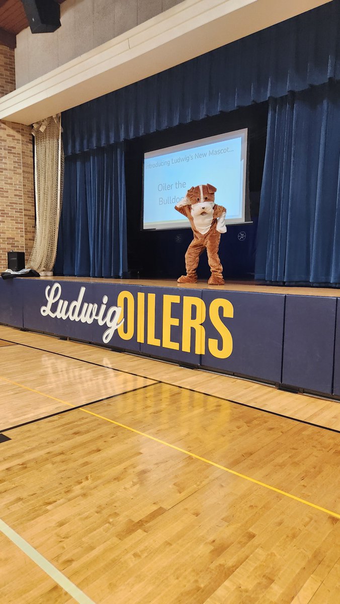 Ludwig School tweet media