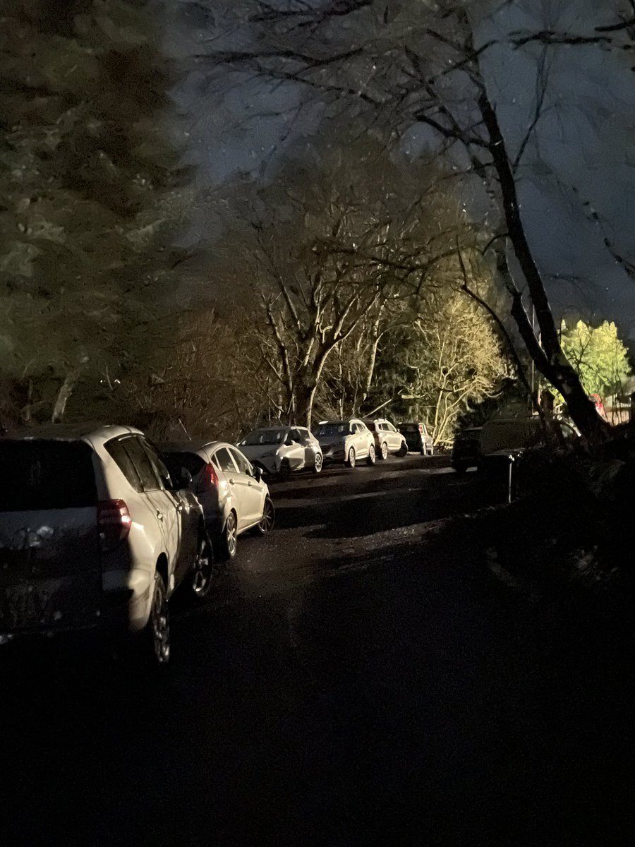 It was busy on our street the other night. It was the monthly pop up pub night preceded by a local squirrel society meeting. #RedSquirrels #PopUpPub #LifeInTheCountry #OurOldVicarage