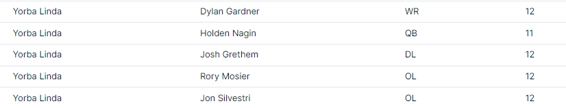 YLHS Football tweet media