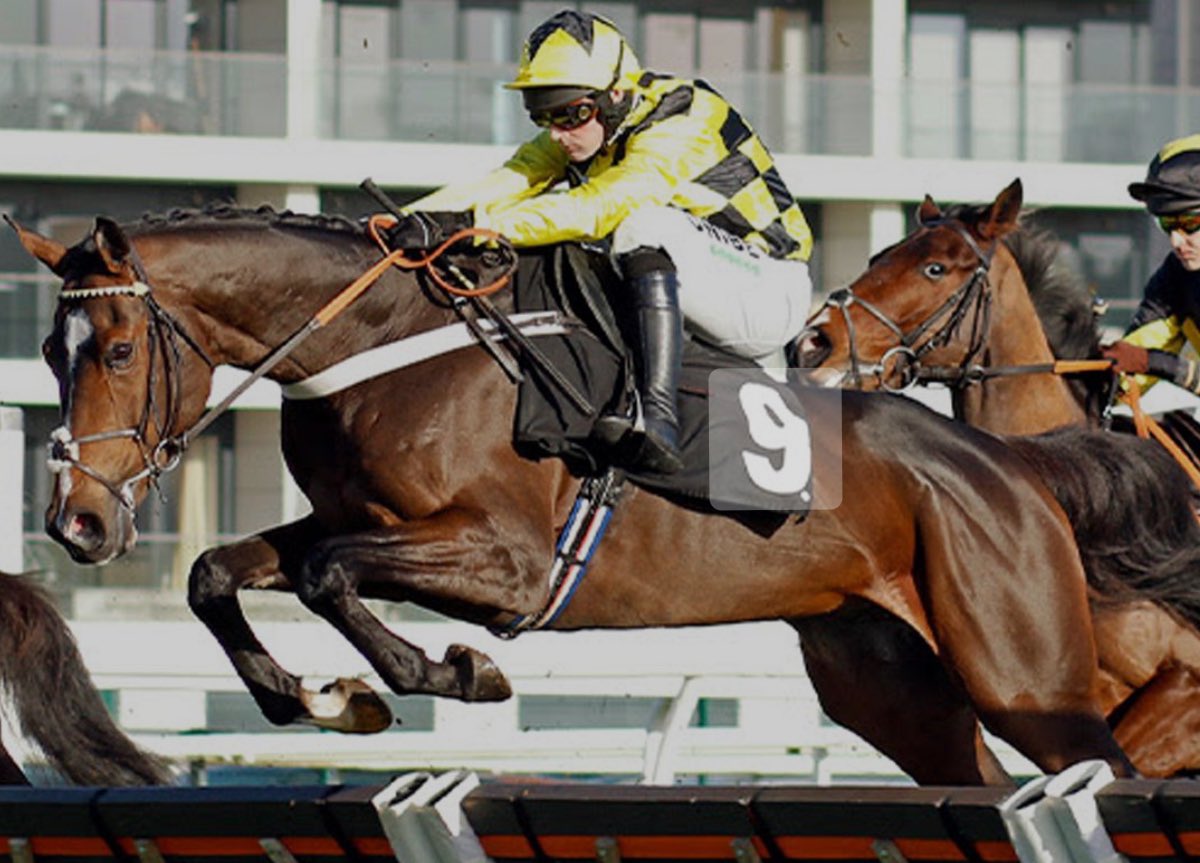 Richardlewisevans tweet media