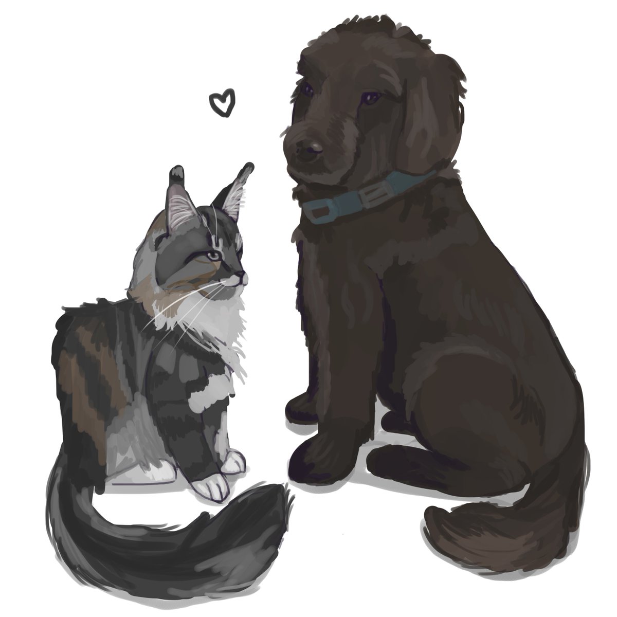 Caitlamity's tweet photo. A good gorl and boi https://t.co/NyRJnXiux8