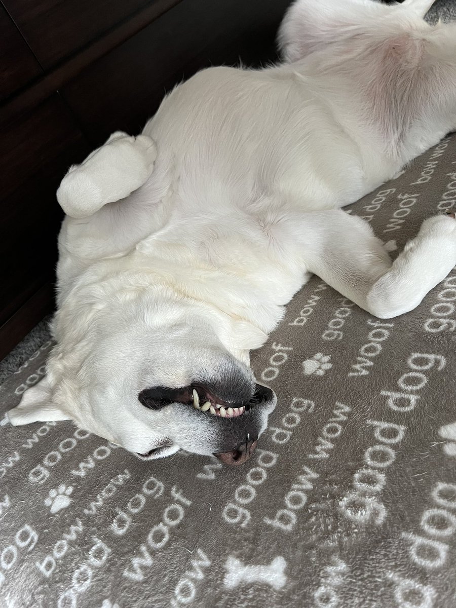 Ms Opinionated tweet media