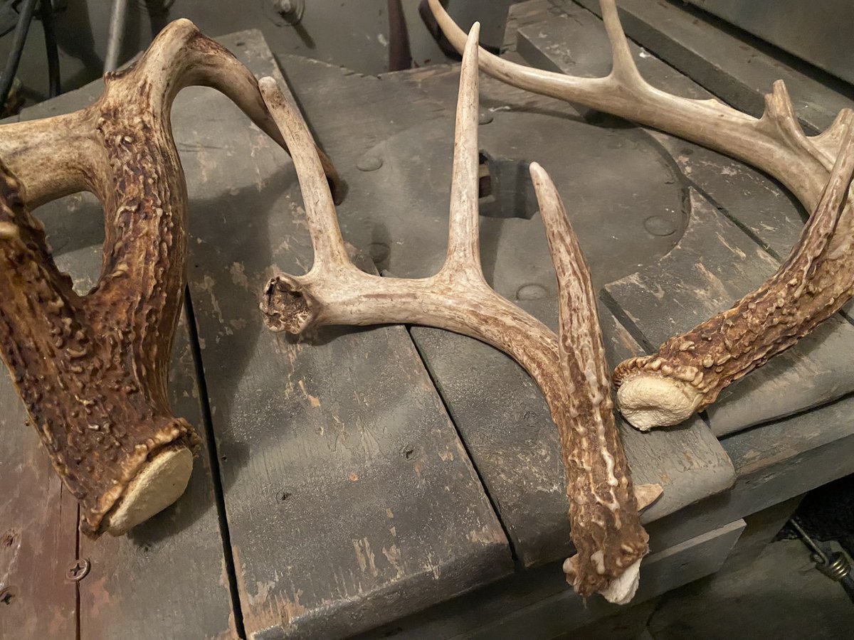 Anyone else chomping at the bit to get out shed hunting? A few from last year👇