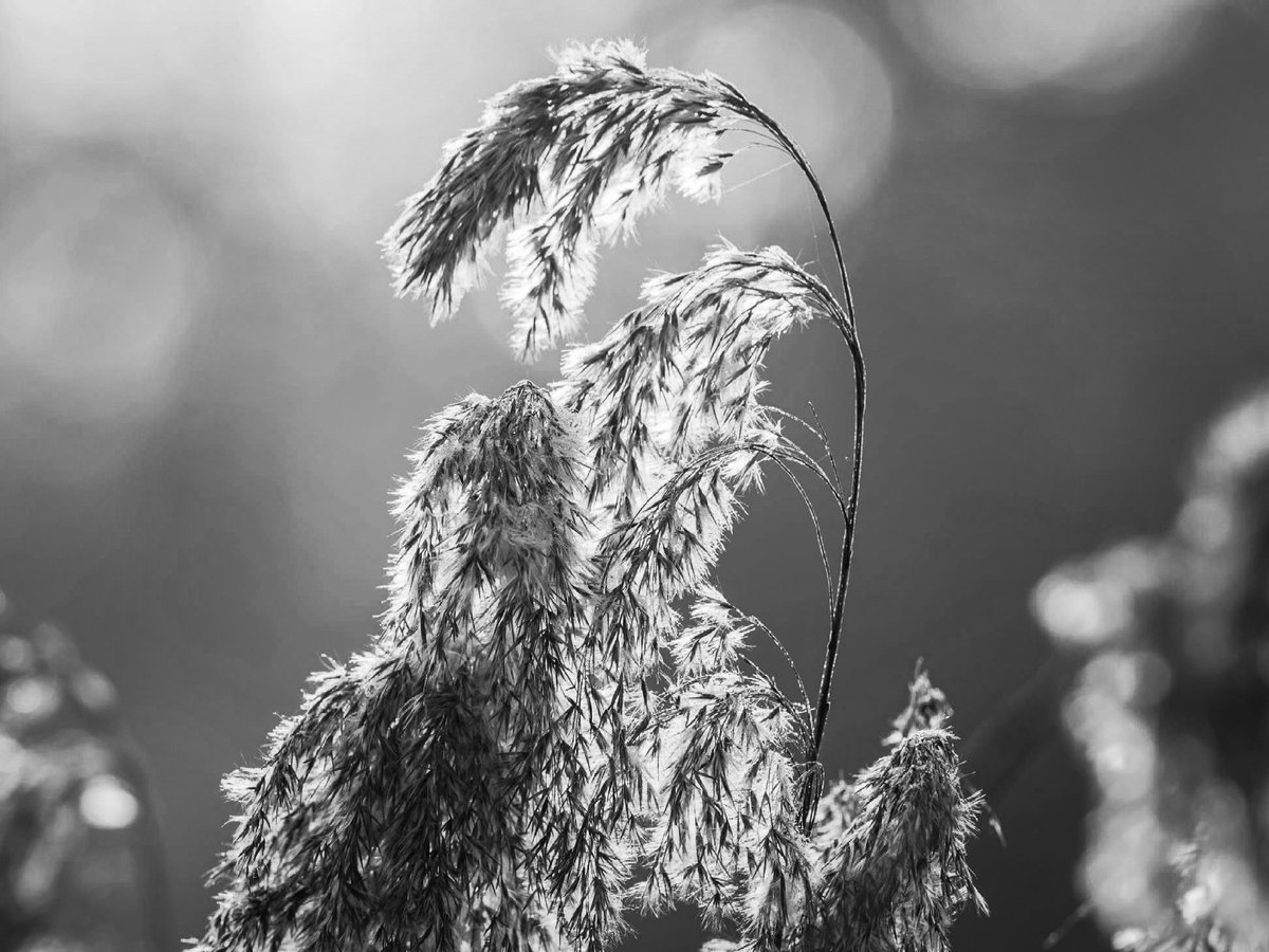 MarkFullerPhotography tweet media