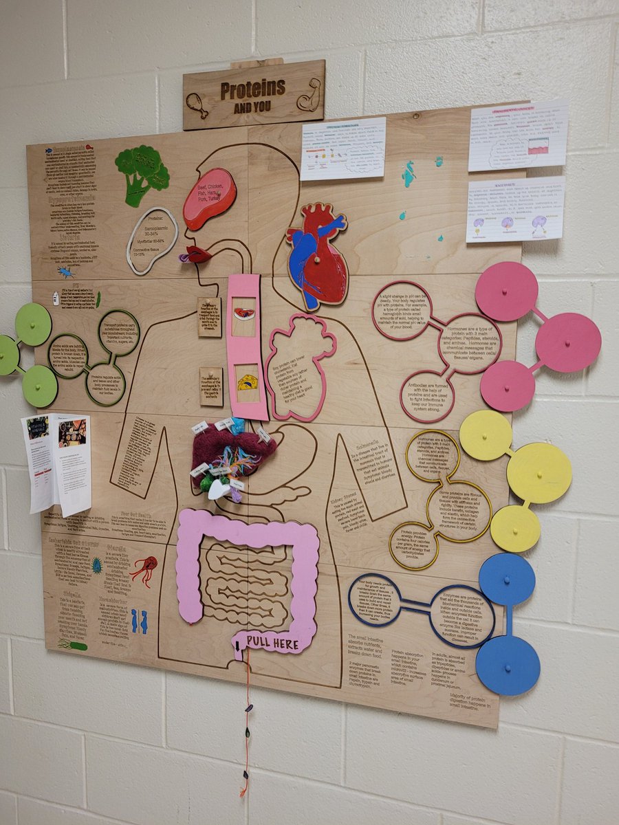 The <a href="/FHSkats/">Fredericton High School</a> #Nutrition panels have found a permanent home on the walls outside the #InnovationLab just in time for the second semester. Be sure to check them out and learn about #MacroNurients 
<a href="/brilliant_labs/">Brilliant Labs / Labos Créatifs</a> @wilmilner