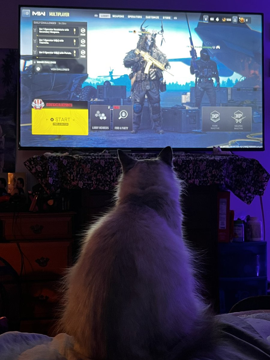 Haven’t posted in a long time….. enjoy this pic of my child watching me play cod ❤️💅