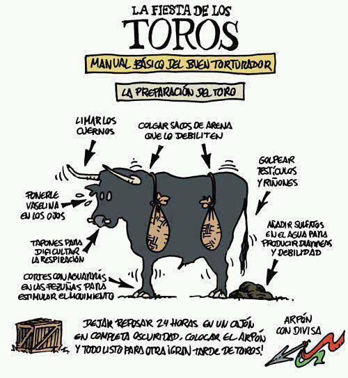 MonnEliz's tweet photo. No a las corridas de toros.
#NoAlasCorridasDeToros
La tauromaquia no es arte, es tortura. https://t.co/bYITJJetxD
