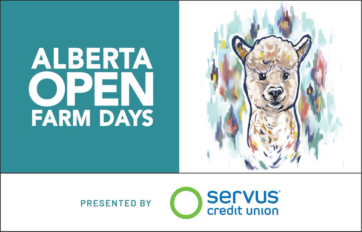 Alberta Open Farm Days, presented by @ServusCU is so excited to announce that 2024 our theme is The year of the Alpaca! albertaopenfarmdays.ca/alpaca/alberta…