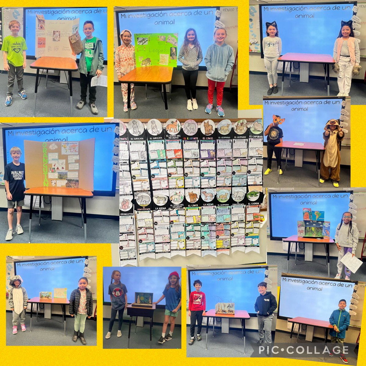 ¡Muy orgullosa de mis estudiantes!! They did amazing on their research and presentations. @RuckerRocks