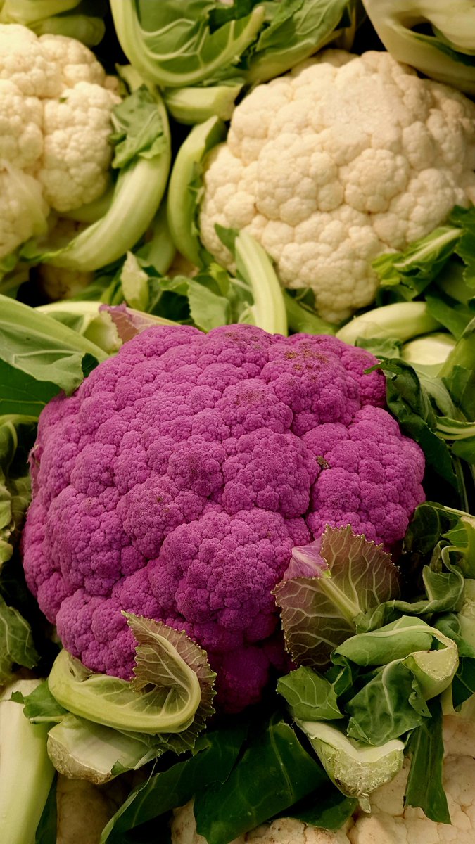 ReallyKratos tweet media