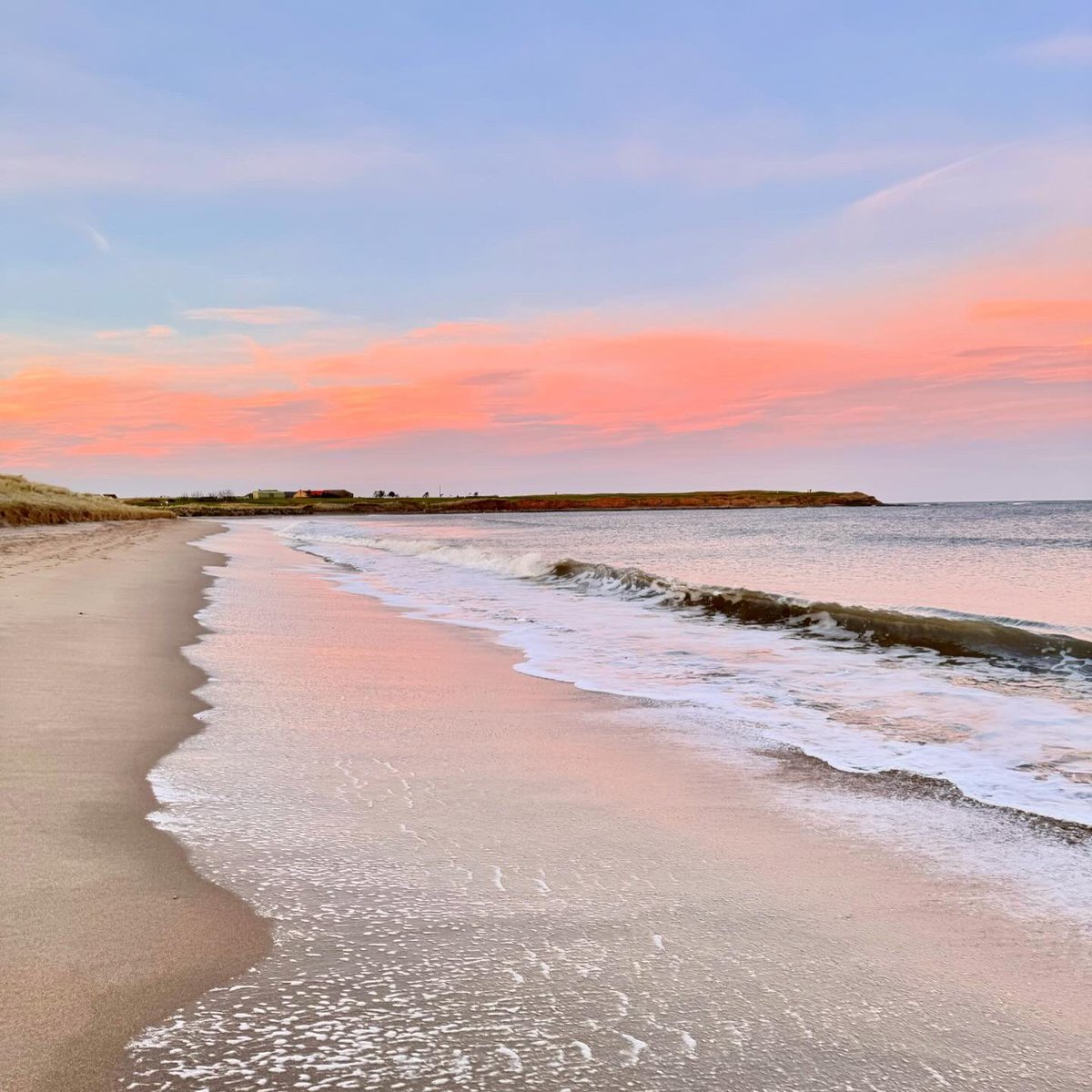 Embracing January in Northumberland 💞how was your January? #January #January2024 #Northumberland