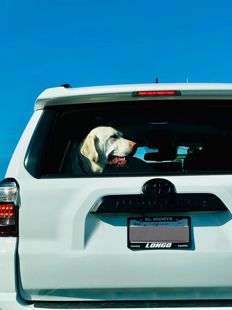 pawboye's tweet photo. blue skies 🌤️ https://t.co/ppFMB9mrZ5