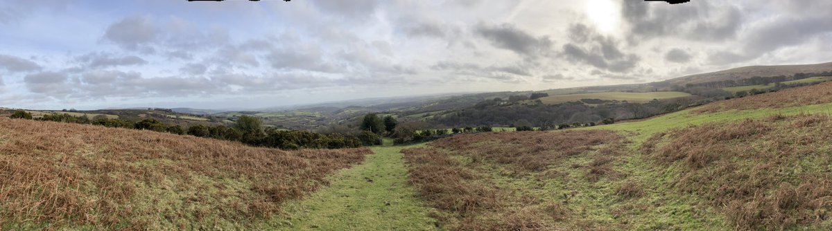 walking maid tweet media