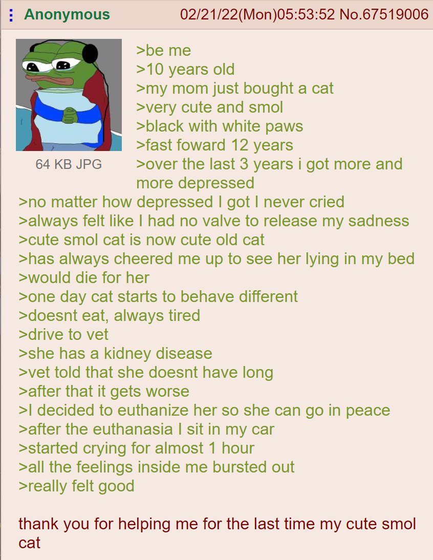 4CHAN GREENTEXTS tweet media