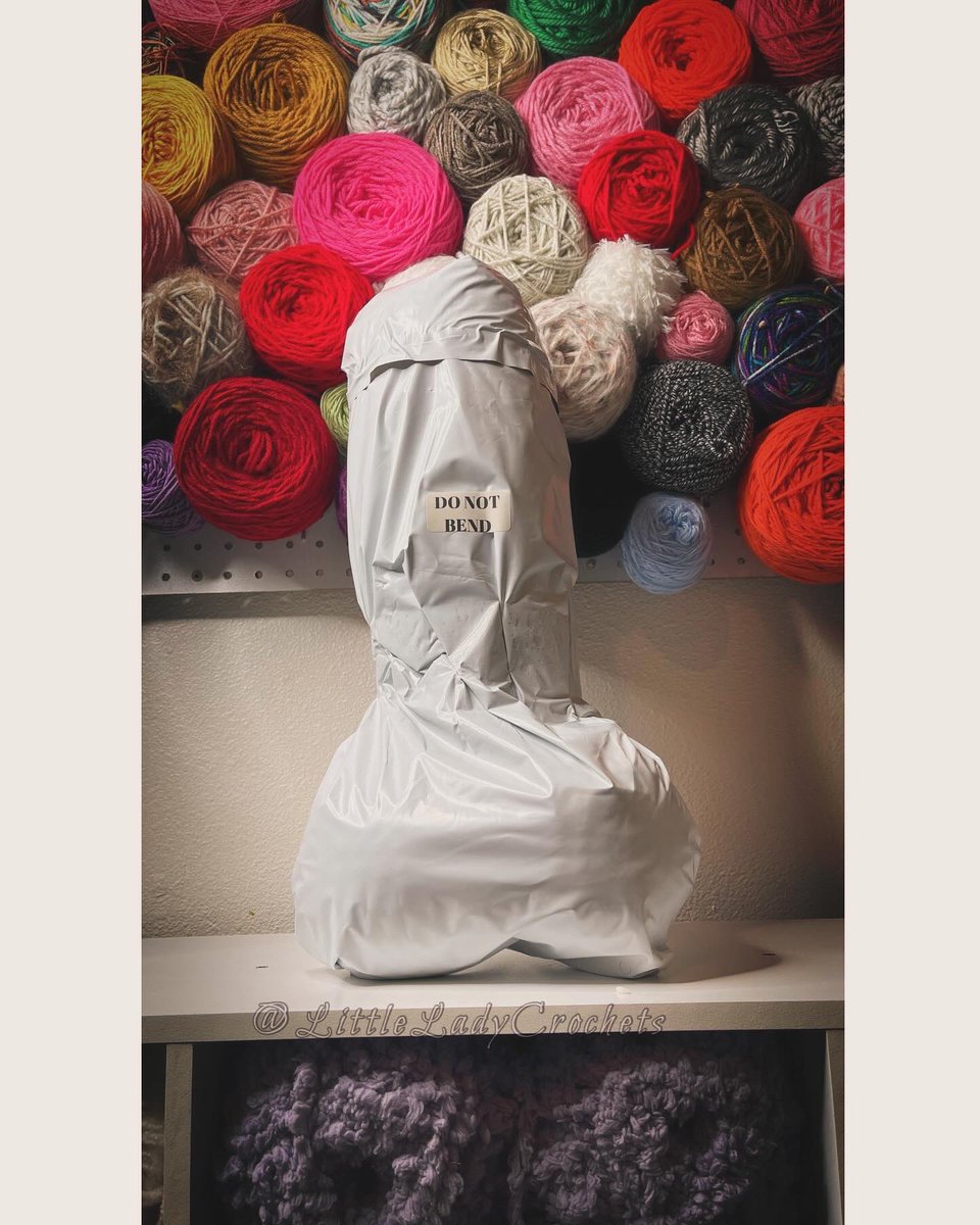 Late post, meant to post the other day 😅
.
#sacramento #crocheted #crochet #littleladycrochets #funny #smallshop #yarn