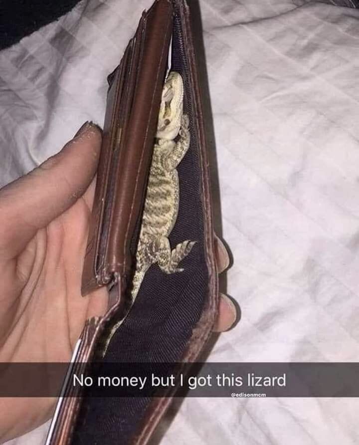 🕐HOURLY🕑 shitpost (@hourly_shitpost) on Twitter photo 