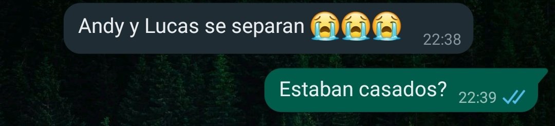 Space Shuttle ✨ tweet media