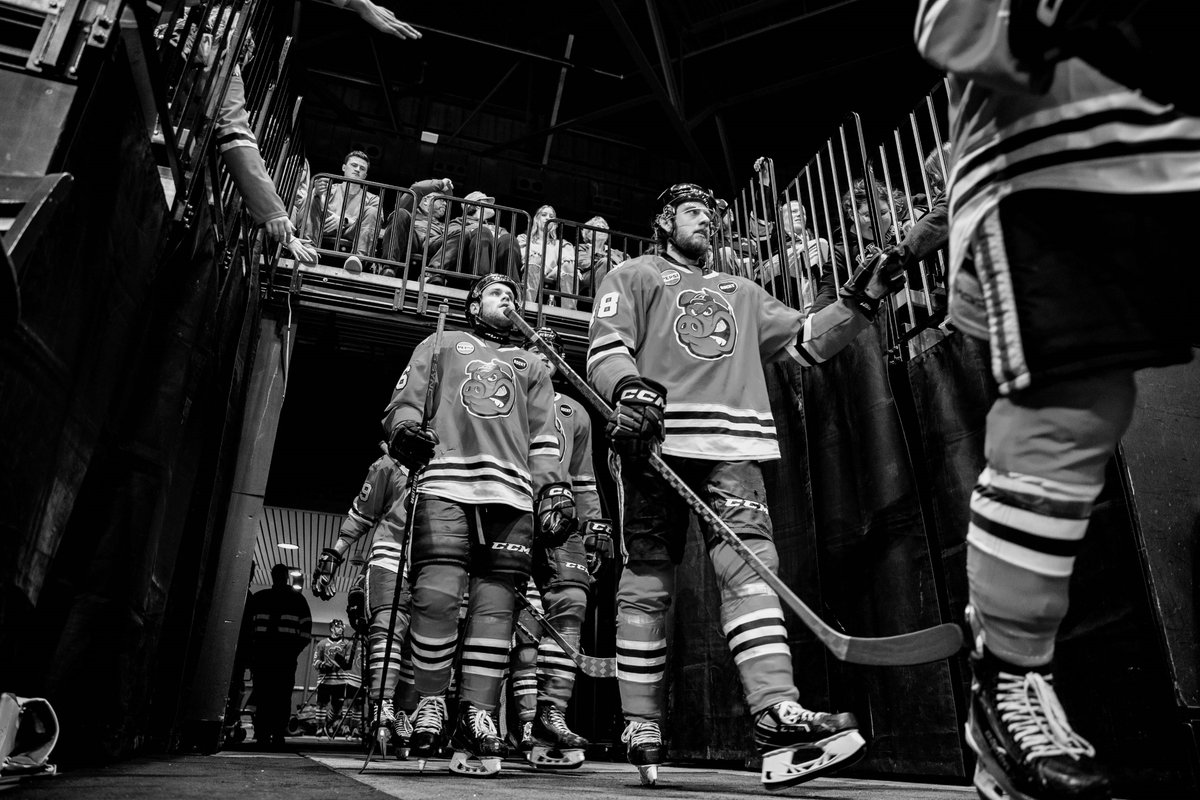 goicehogs tweet picture