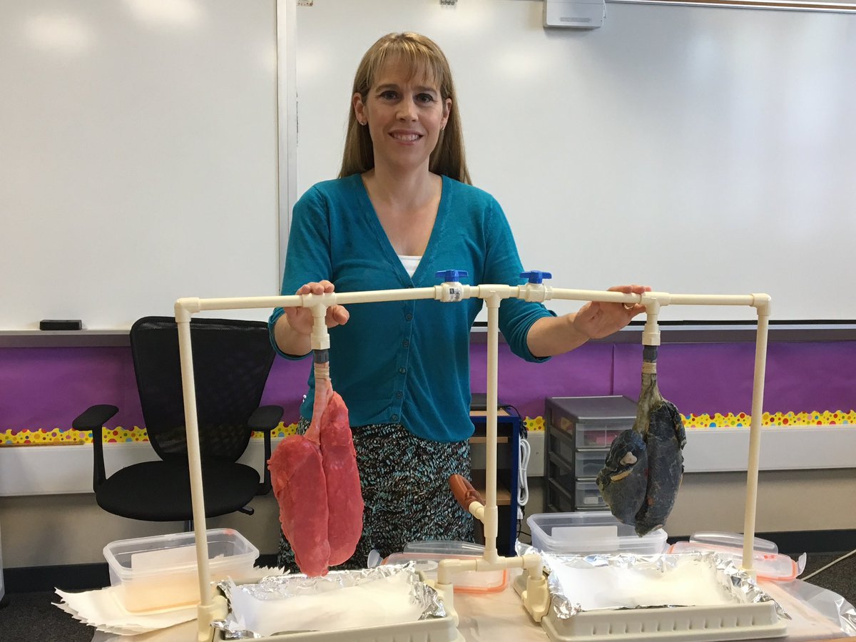 It’s the second half of the year, and we’re running out of paper, pencils, and colored pencils. 😱 Please check out or share my class wishlist: amazon.com/hz/wishlist/ls… Thank you for your support! 🍎 #helpateacher #clearthelist #wishlist #teachersoftwitter #STEM #STEAM #education