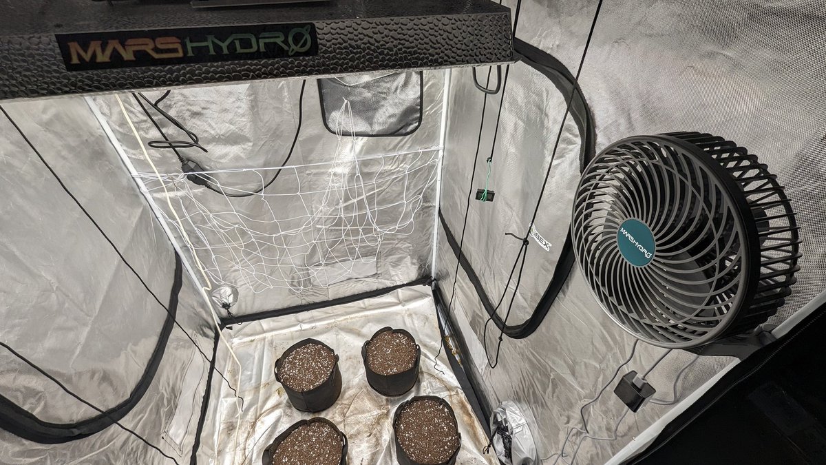 GoonerBudz_Fc's tweet photo. The 4x4 is ready for new occupants 😎 @MarsHydroLight #ts3000 have the Mars hydro clip fan in and ready . Moves air really well and oscillates. Discount code for 15% off #CannabisCommunity #CannaLand
@Henry117_ https://t.co/ehHtyYNhvE