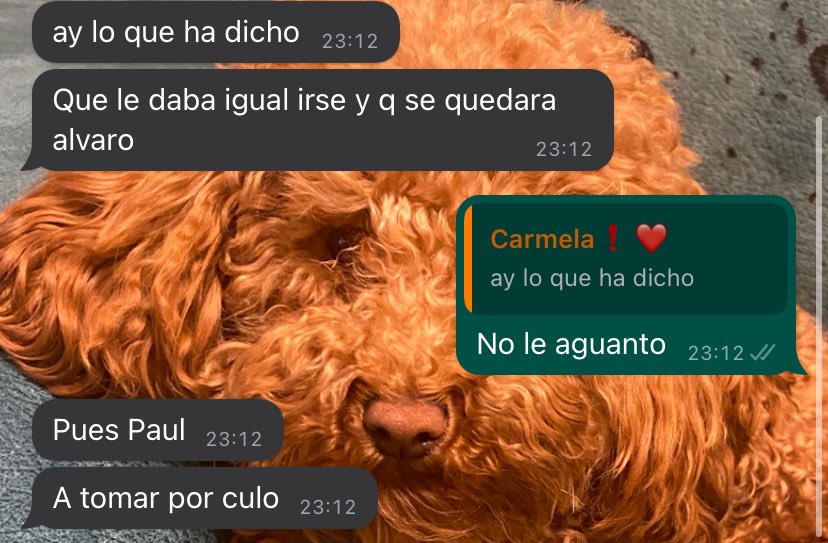 dxniisanchez's tweet photo. Por que no le hemos dado lo que queria?!#OTGala9 https://t.co/0VMO2EdZTy