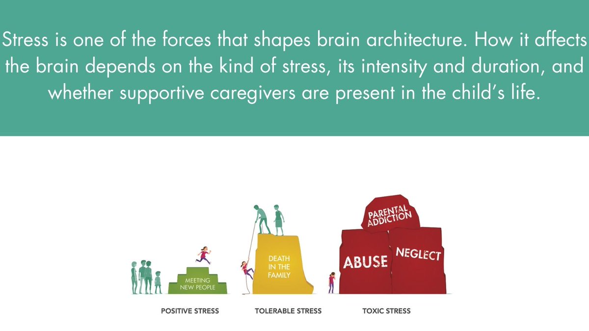 Alberta Family Wellness Initiative tweet media