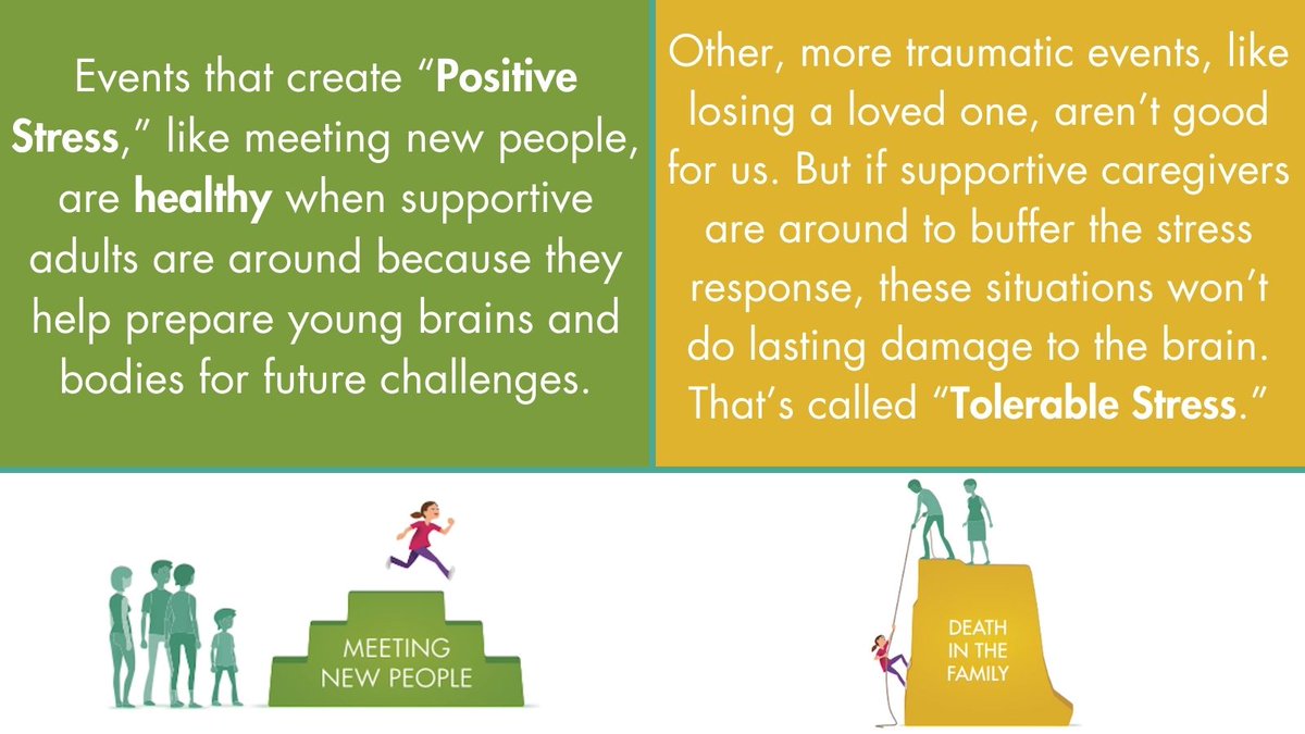 Alberta Family Wellness Initiative tweet media