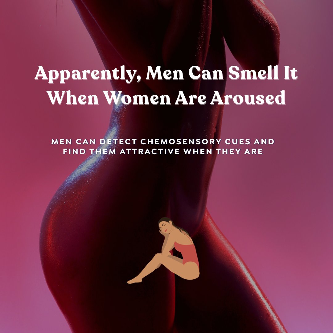 harunmore's tweet photo. Men not only find women to be more attractive when aroused but they also get turned on by the odor.

If you’re looking for instant attraction, Try HARU’s Pheromone perfume today— the chemical compounds have the potential to trigger attraction 👀😍🫶

Shop HARU: https://t.co/l0mPtjfPpB
