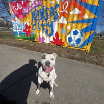 boyboiiat's tweet photo. #NewProfilePic https://t.co/N43tAM4qmi
