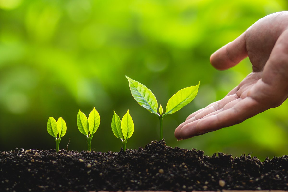 Effective lead management is crucial for businesses to boost sales. Instead of solely focusing on acquiring new leads, businesses should prioritize nurturing and managing their current leads. By segmenting leads, and providing valuable content, you can see a higher ROI