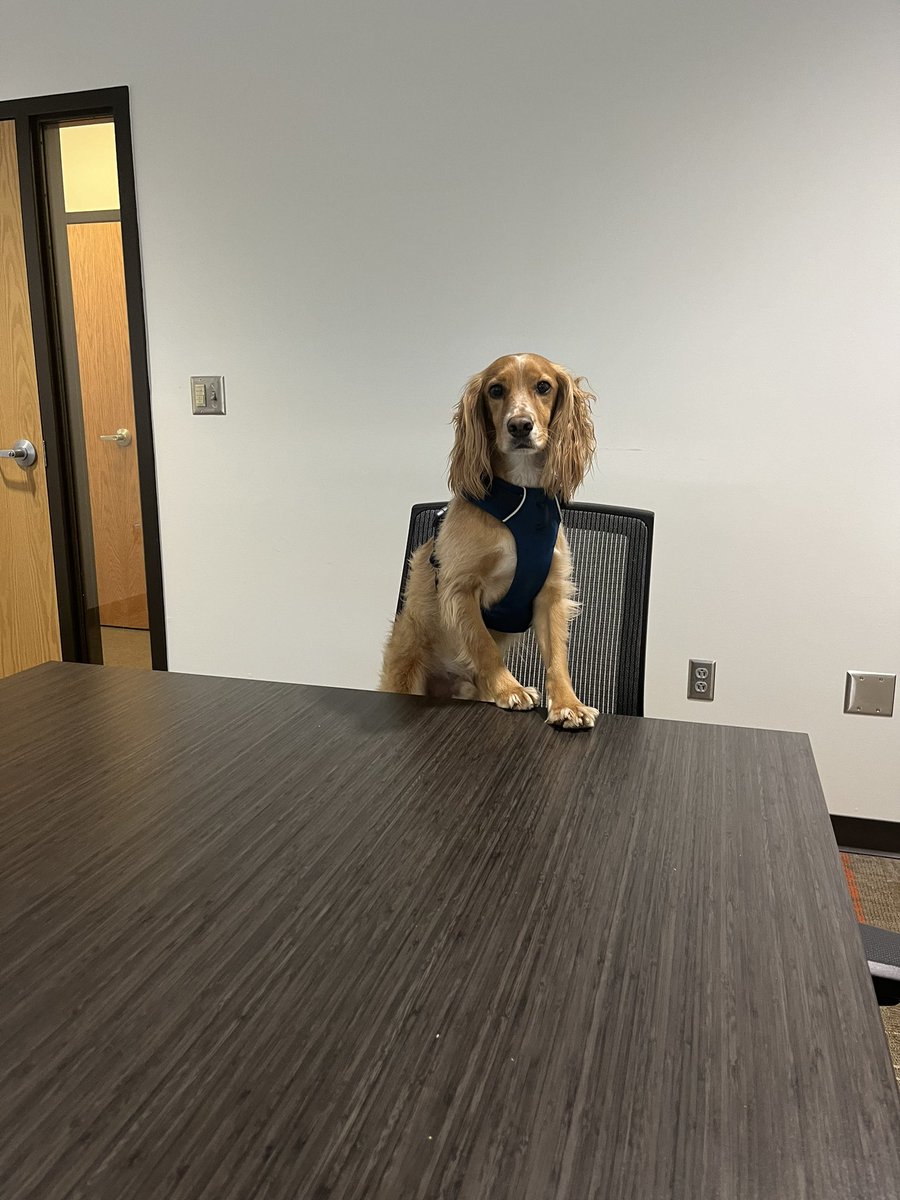 Here to run your next board meeting