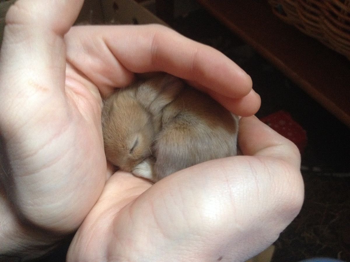 mourninglambs's tweet image. holding me in the palm of ur hand