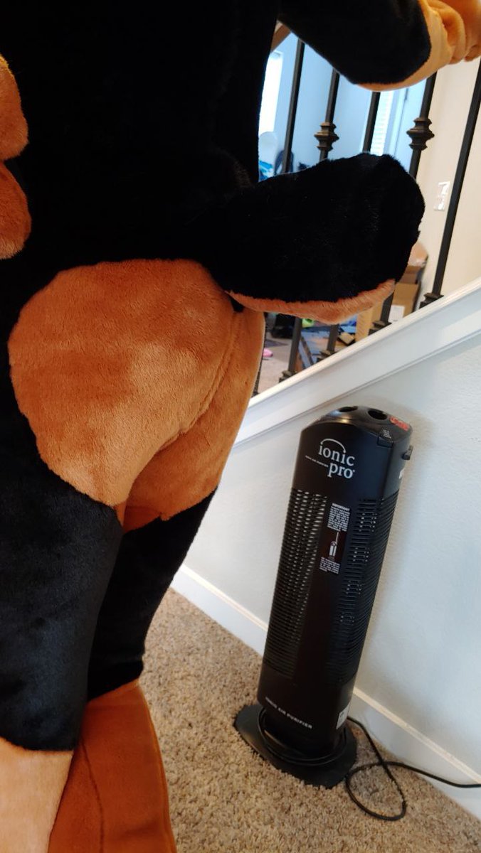 Finalllllllllly done omg x.x also realizing how big this head is and how tiny I am XD 
L.O.V. presents Roscoe from Oliver and Co. (Still needs brushing XD)

More pics to come

📸 <a href="/PyrussPeets/">Pyruss</a>