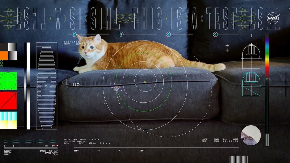 We've got answers to your students' biggest questions about *that* @NASA cat video, plus resources to engage students in related STEM learning. Find it all in our latest #TeachableMoment: bit.ly/49dE8rX