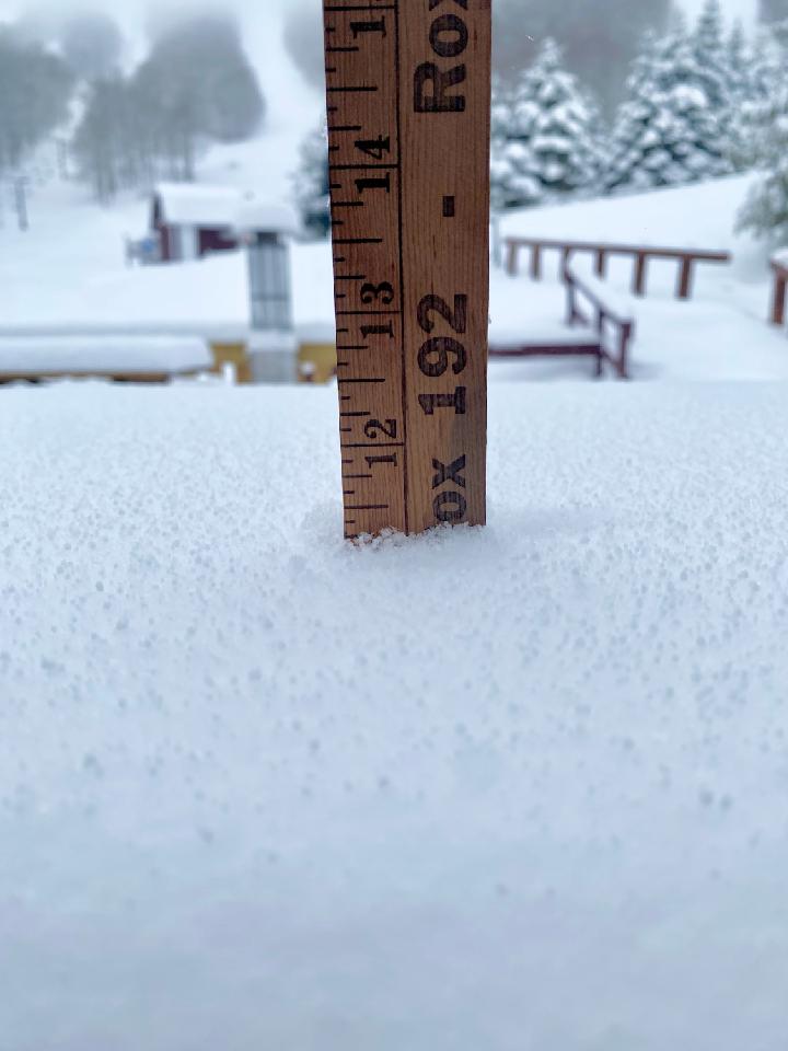 Plattekill Mountain tweet media