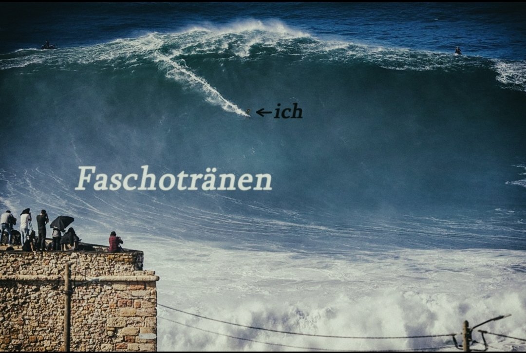 Der braune Mob regt sich darüber auf von #Steinmeier indirekt als #Ratten bezeichnet zu werden.
Und realisiert nicht dabei, dass sie in dem Kontext ihre geliebte Faschopartei damit selbst als rechtsextremistisch bezeichnen. 
Ich liebe es! 👌😁
#HeultLeise