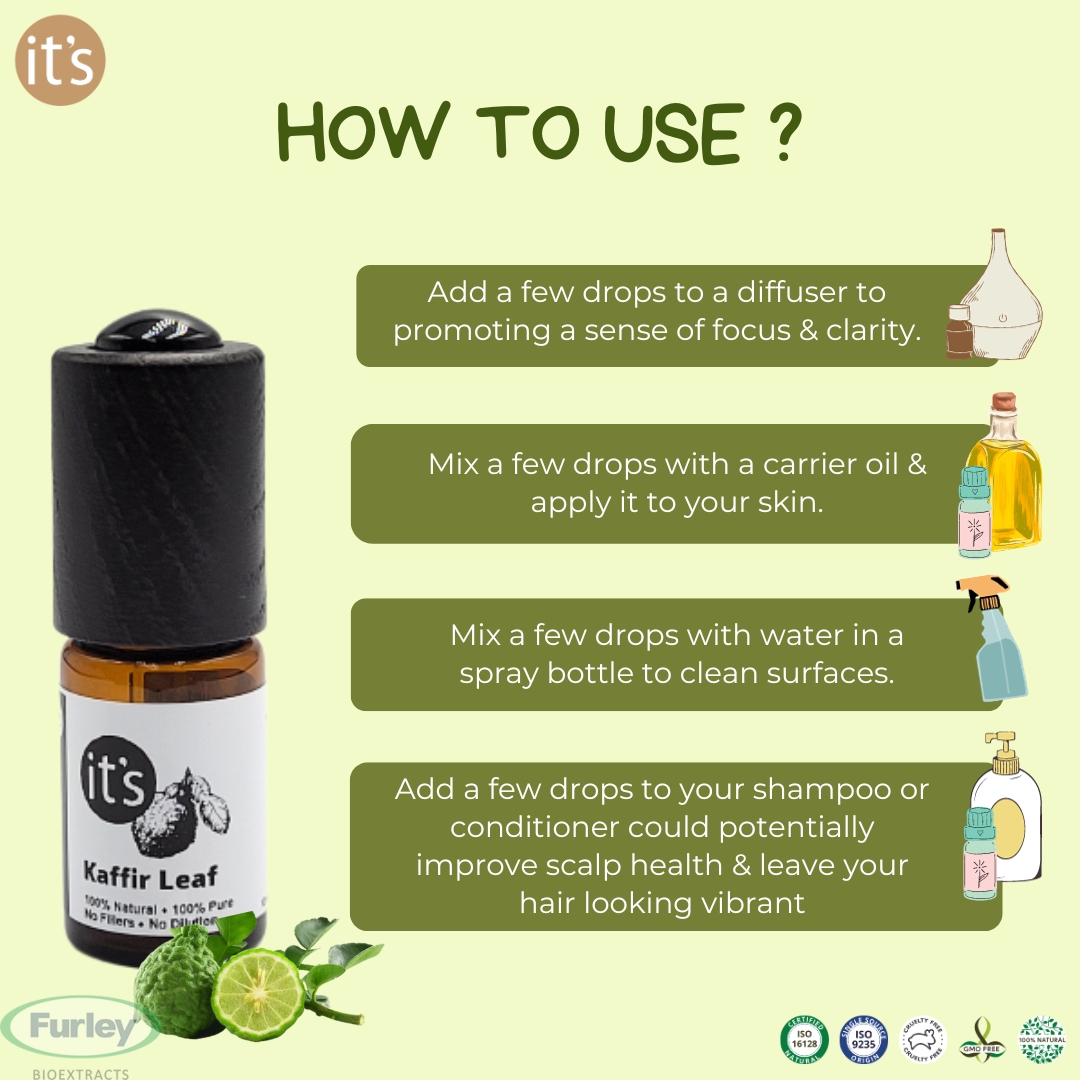 furleyB's tweet image. Experience the magic of Kaffir Leaf Essential Oil! 🌿✨ Discover simple ways to elevate your well-being. 

#KaffirLeafOil #EssentialOilMagic #itsEssentialOil #Natural #PureEssentialOil