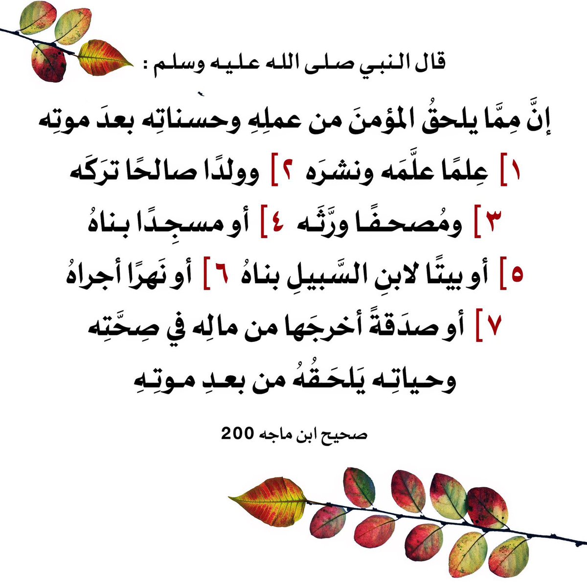 ahdab75's tweet photo. https://t.co/qZJ0XxEsAW