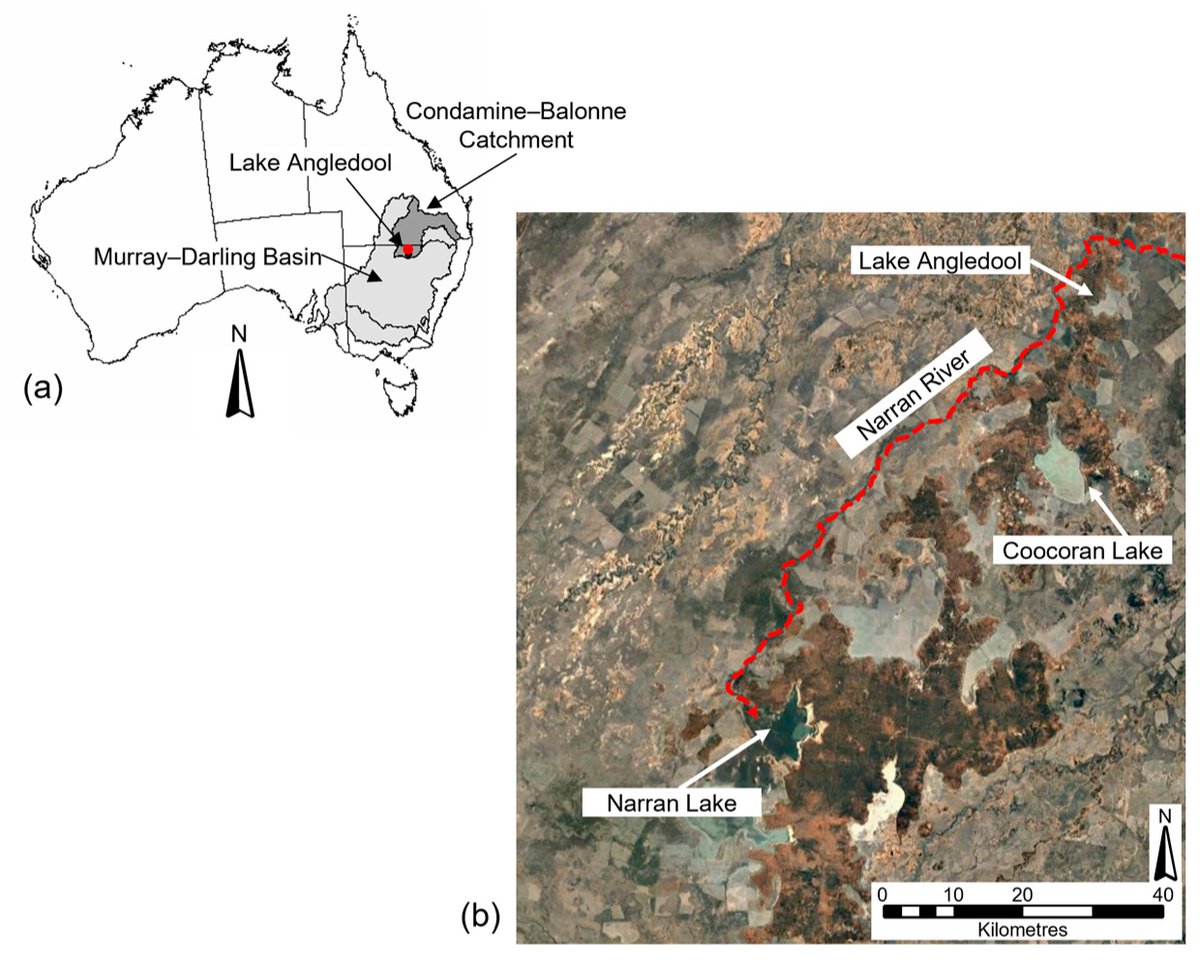 soils_mdpi's tweet image. #SpatialVariability of #Topsoil Properties on a Semi-Arid Floodplain
mdpi.com/2571-8789/7/2/…

by Tiffany-Anne Carroll-MacDonald, Scott Rayburg * and Melissa Neave

@UTSEngage 
@Swinburne
@RMIT