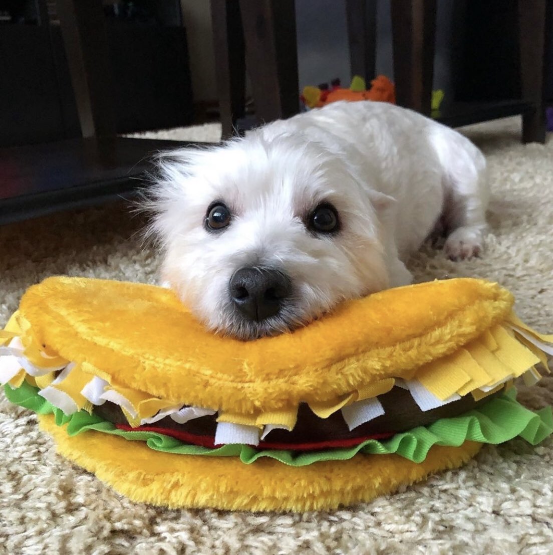 Sorry, Mom…
But this is nacho taco.